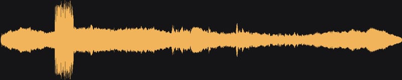 Forma d'onda dell'audio dello spot Almère.